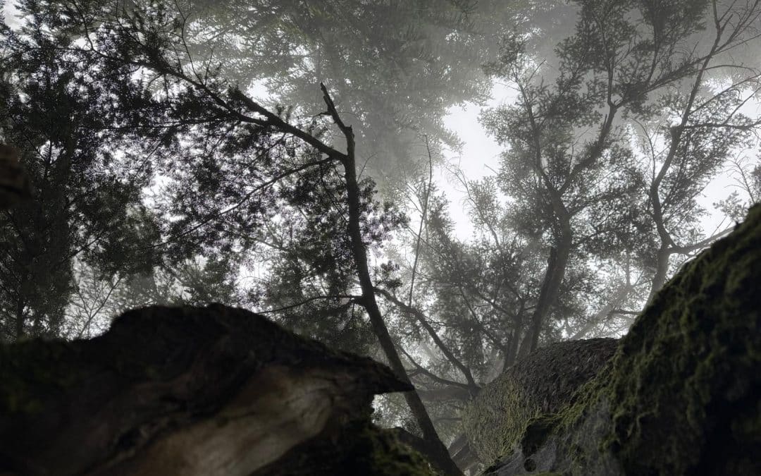 November: Vergänglichkeit