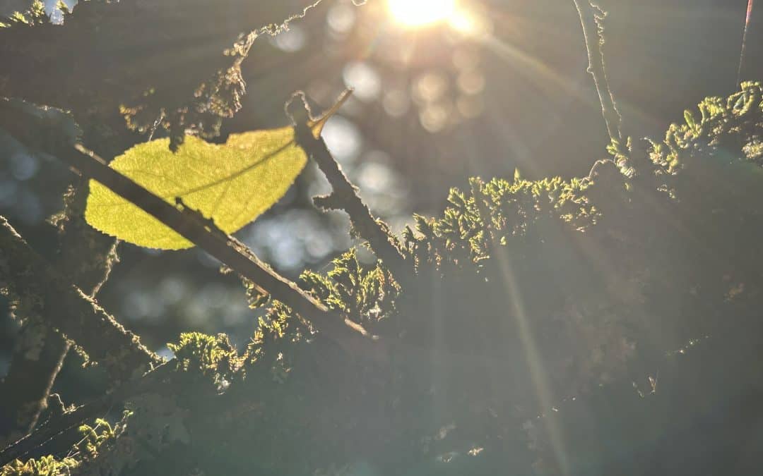 Oktober: Abschied nehmen