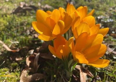 1819a7e7-f87e-434c-b8ce-b71dbc4ba820