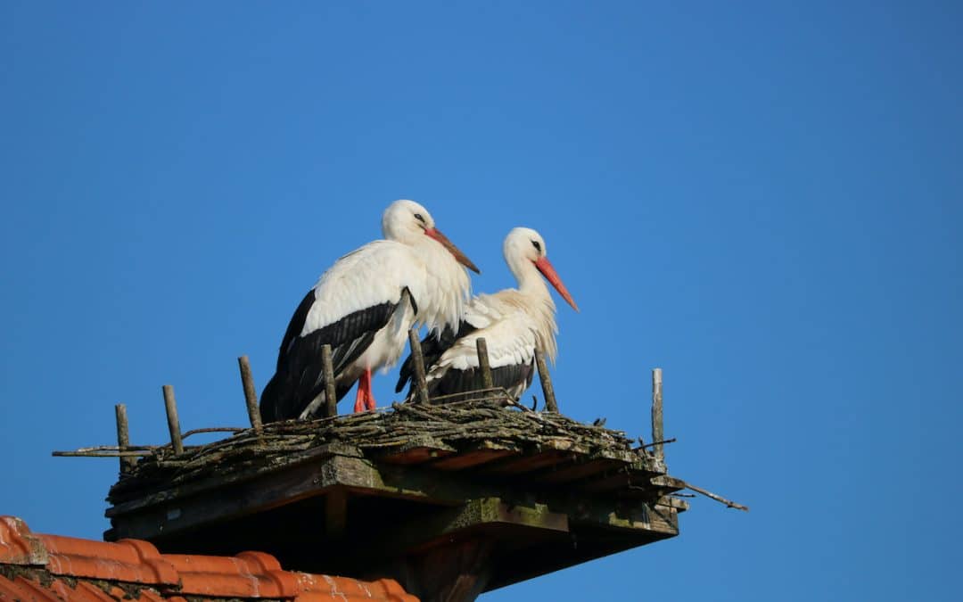 Liebe und Entfaltung