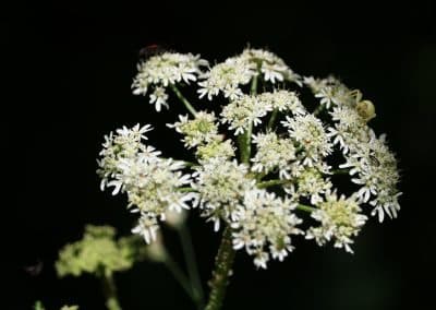 IMG_8806