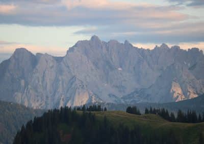 IMG_8871