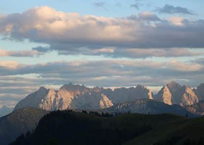 IMG_8874