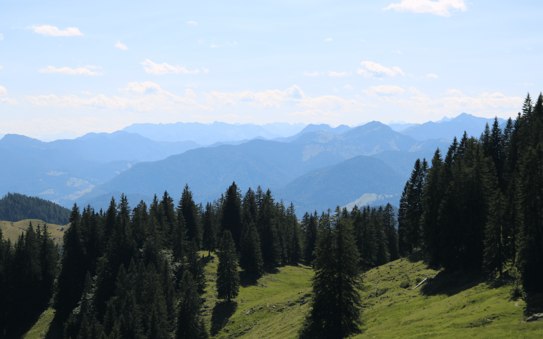 August: Fülle