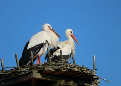 IMG_8714 Kopie