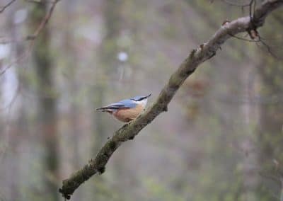 April IMG_1969