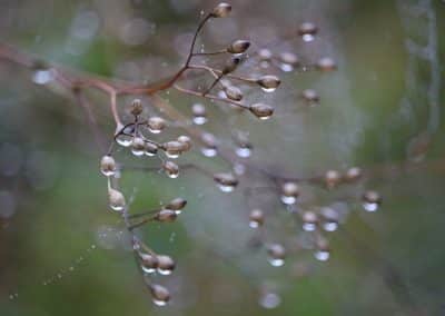 IMG_7562