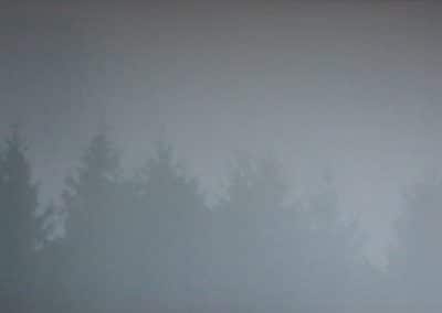 Nebel