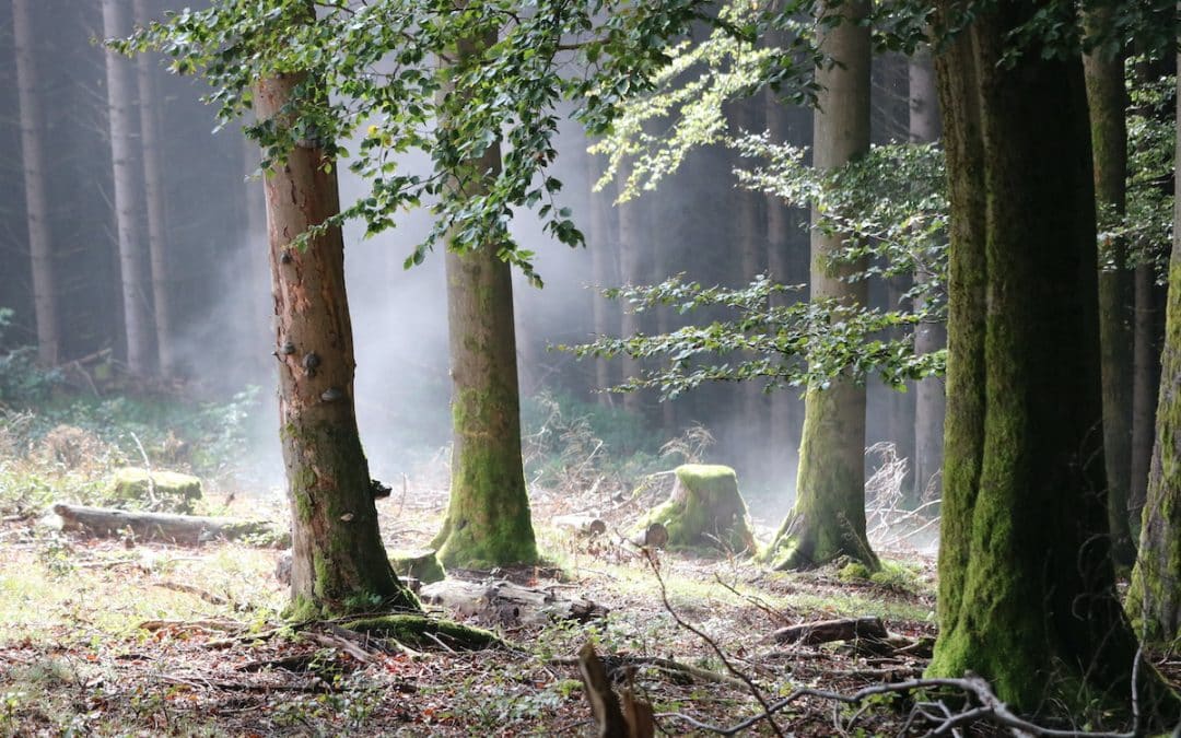 Oktober: Innere Einkehr