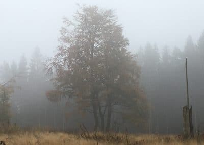 image00021
