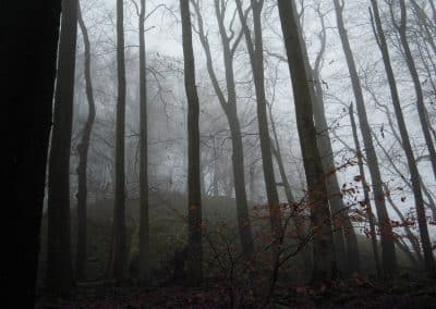 nebel 2
